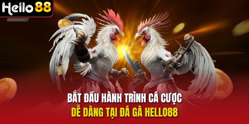 Bắt đầu hành trình cá cược dễ dàng tại Đá gà Hello88 